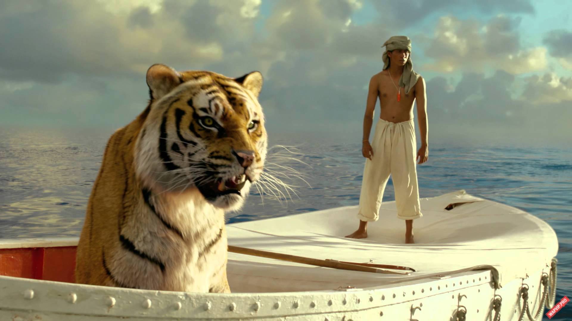 Phim 'Life of Pi' (Cuộc Đời Của Pi) tác phẩm chuyển thể xuất sắc